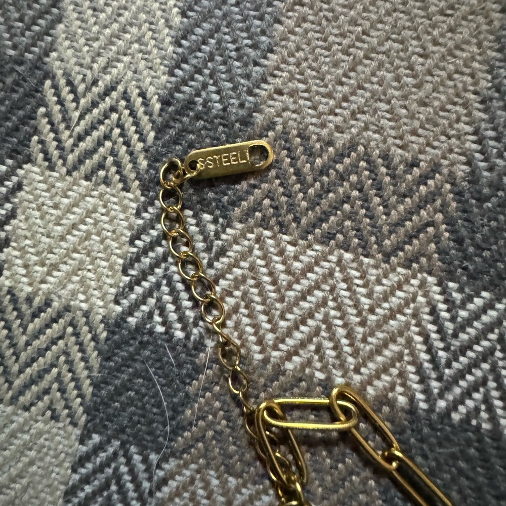 Louis Vuitton Goldtone Pendant with CZs & Stainless Steel Necklace in box - Picture 5 of 7